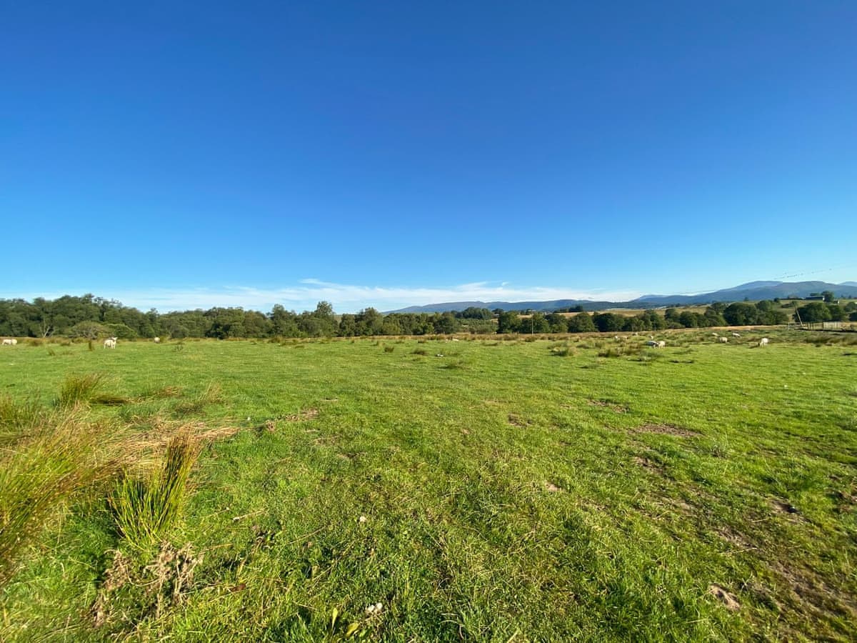 Gartclach Farm - Gartclach, listing photograph 5