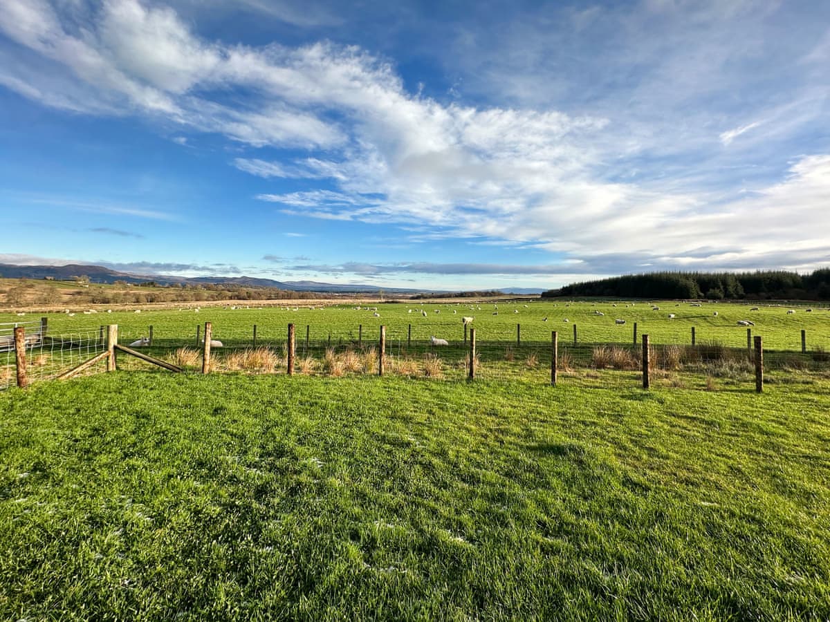 Gartclach Farm - Gartclach, listing photograph 6
