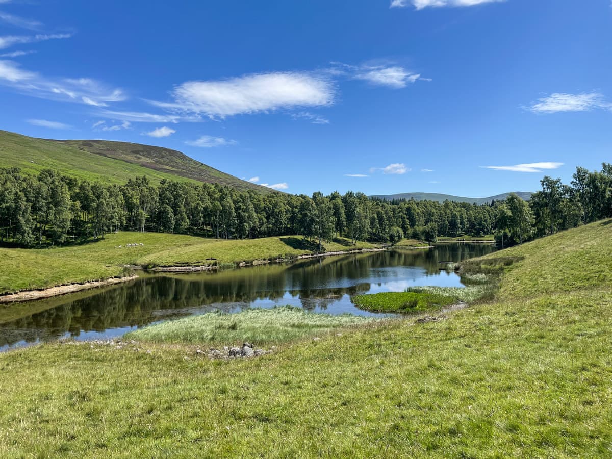 Glen Clova Getaways - Brandy Cottage, listing photograph 11