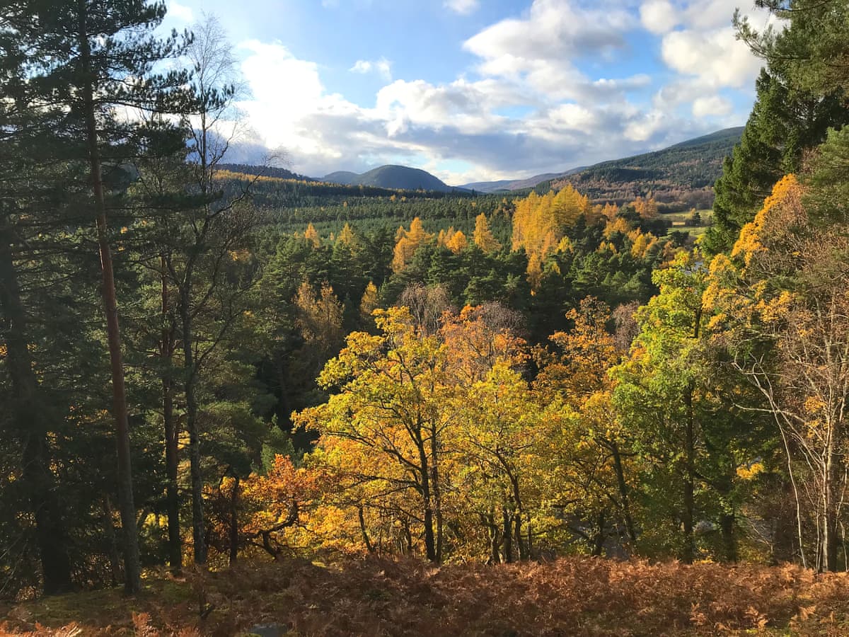 Bonn Na Coille Cottages - Pine Tree Cottage, listing photograph 12