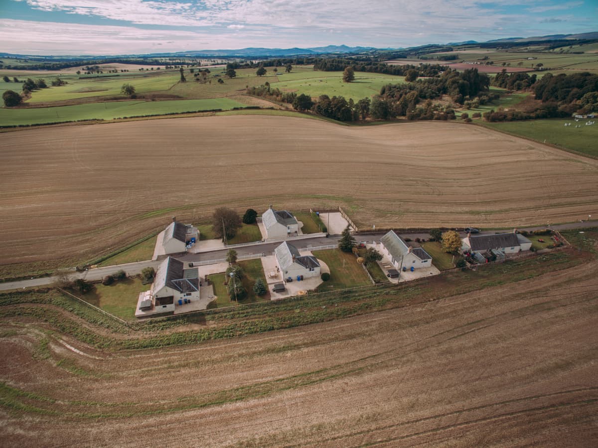 Bachilton Farm - Langside