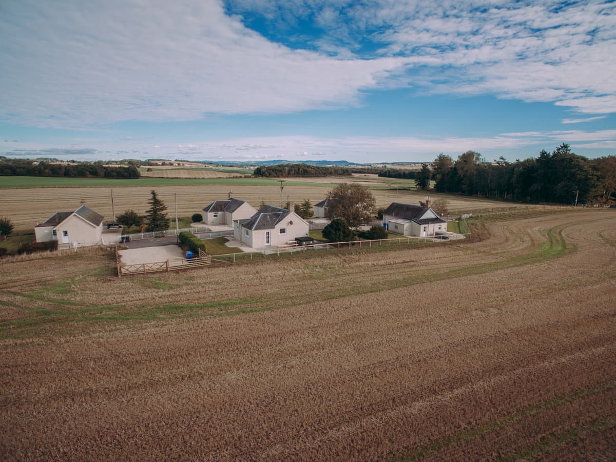 Bachilton Farm - Cairnies