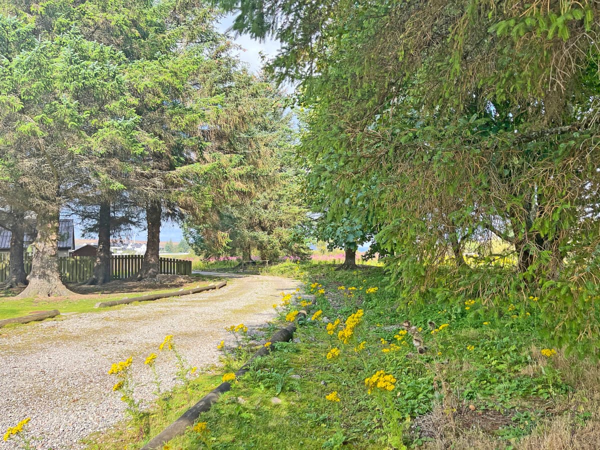 River View, listing photograph 4