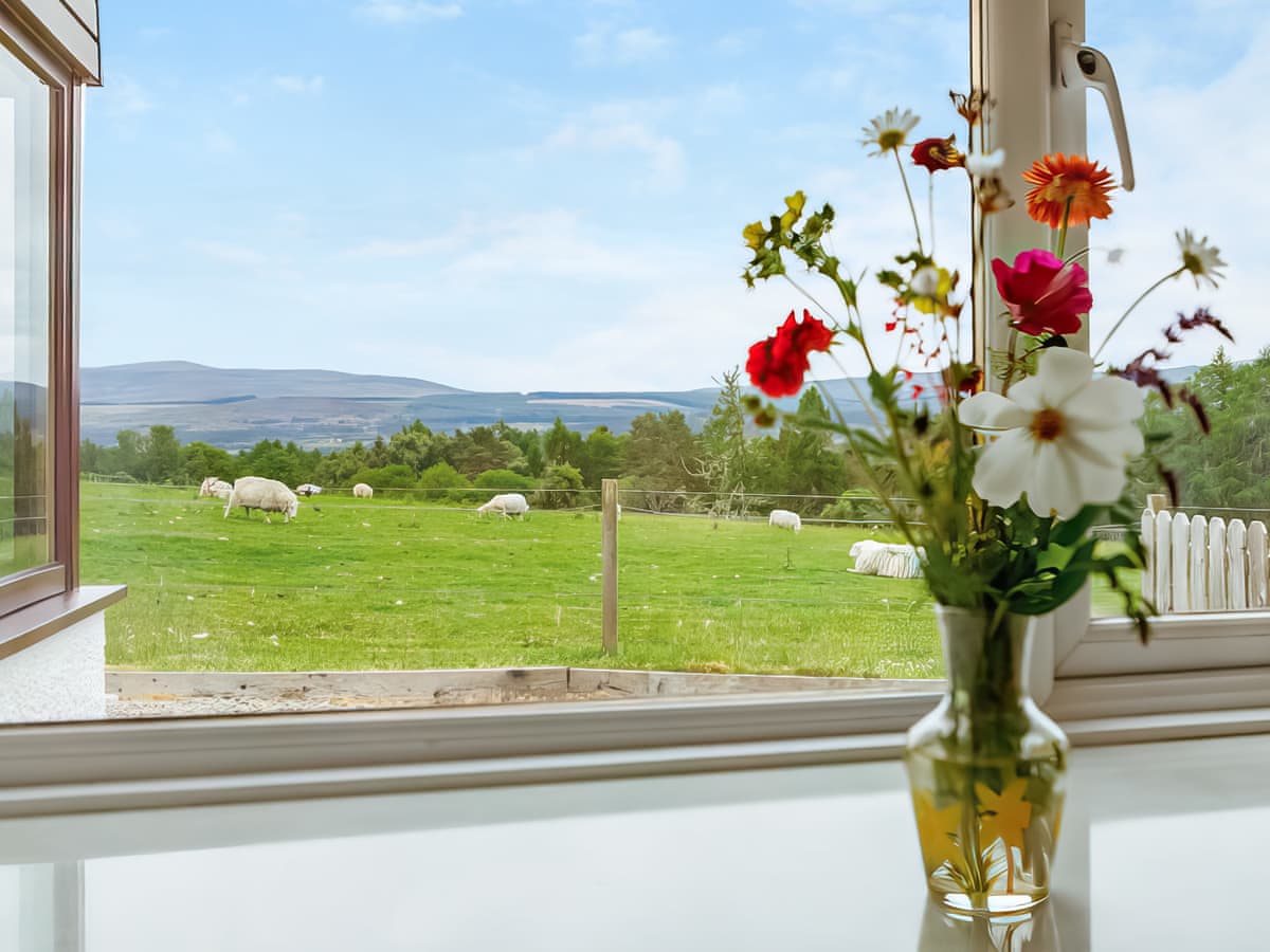 Drumlea Cottage, listing photograph 11