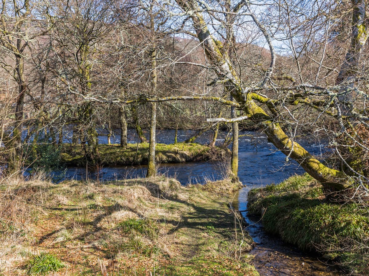 Crianlarich Retreats - The Crannog, listing photograph 10