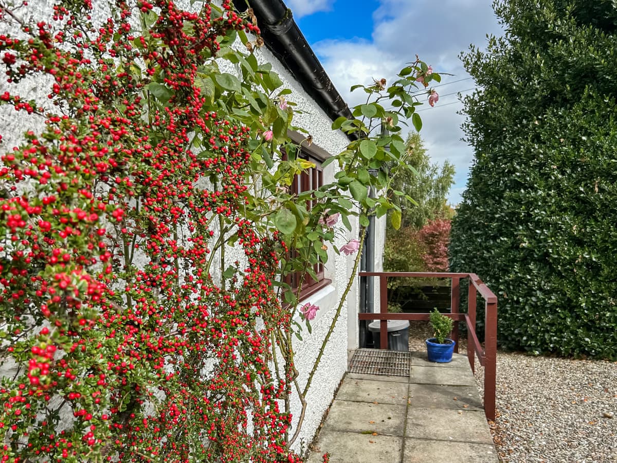The Wee House, listing photograph 11