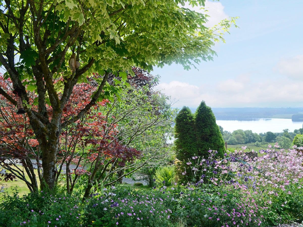 Lakeview Cottages at Mondhui - The Stable, listing photograph 10