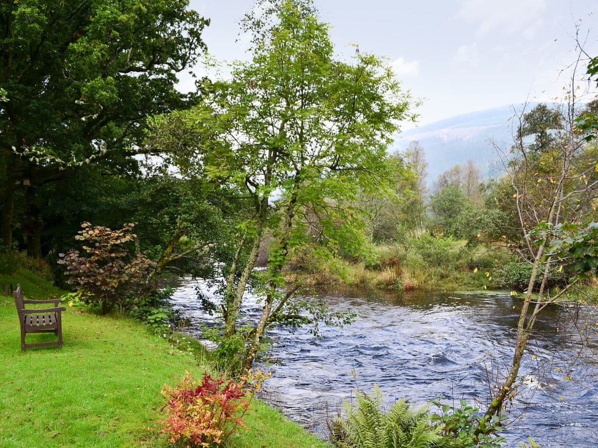 Forest View, listing photograph 11