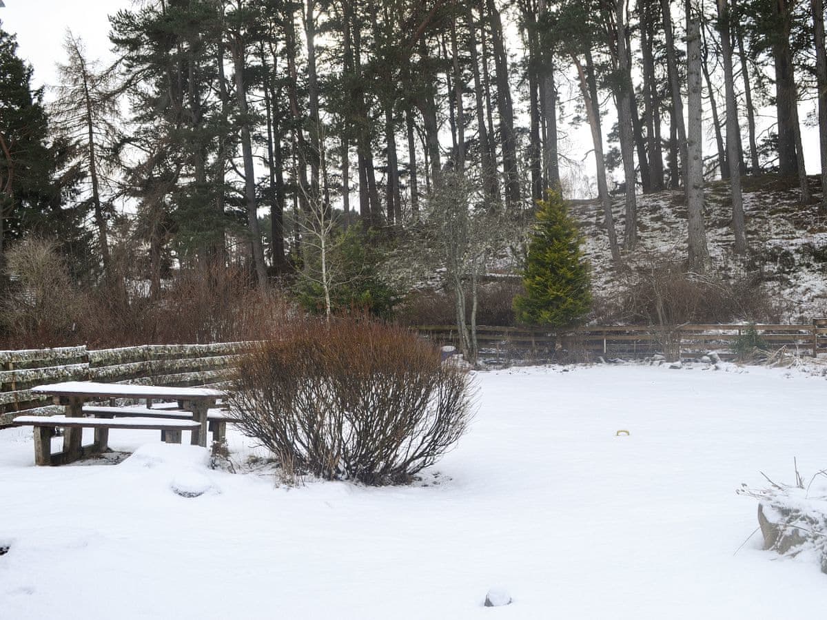 West End Cottage, listing photograph 11