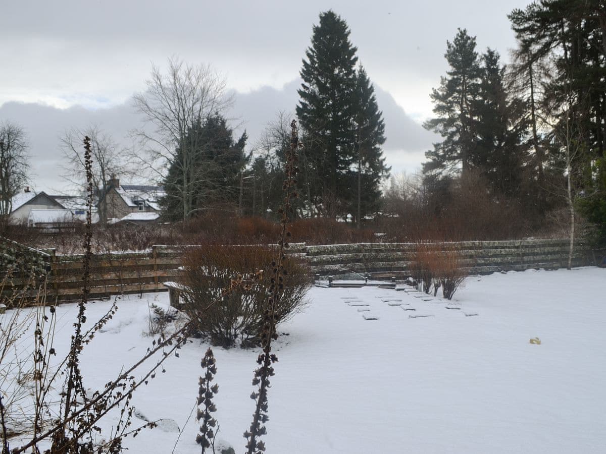 West End Cottage, listing photograph 12