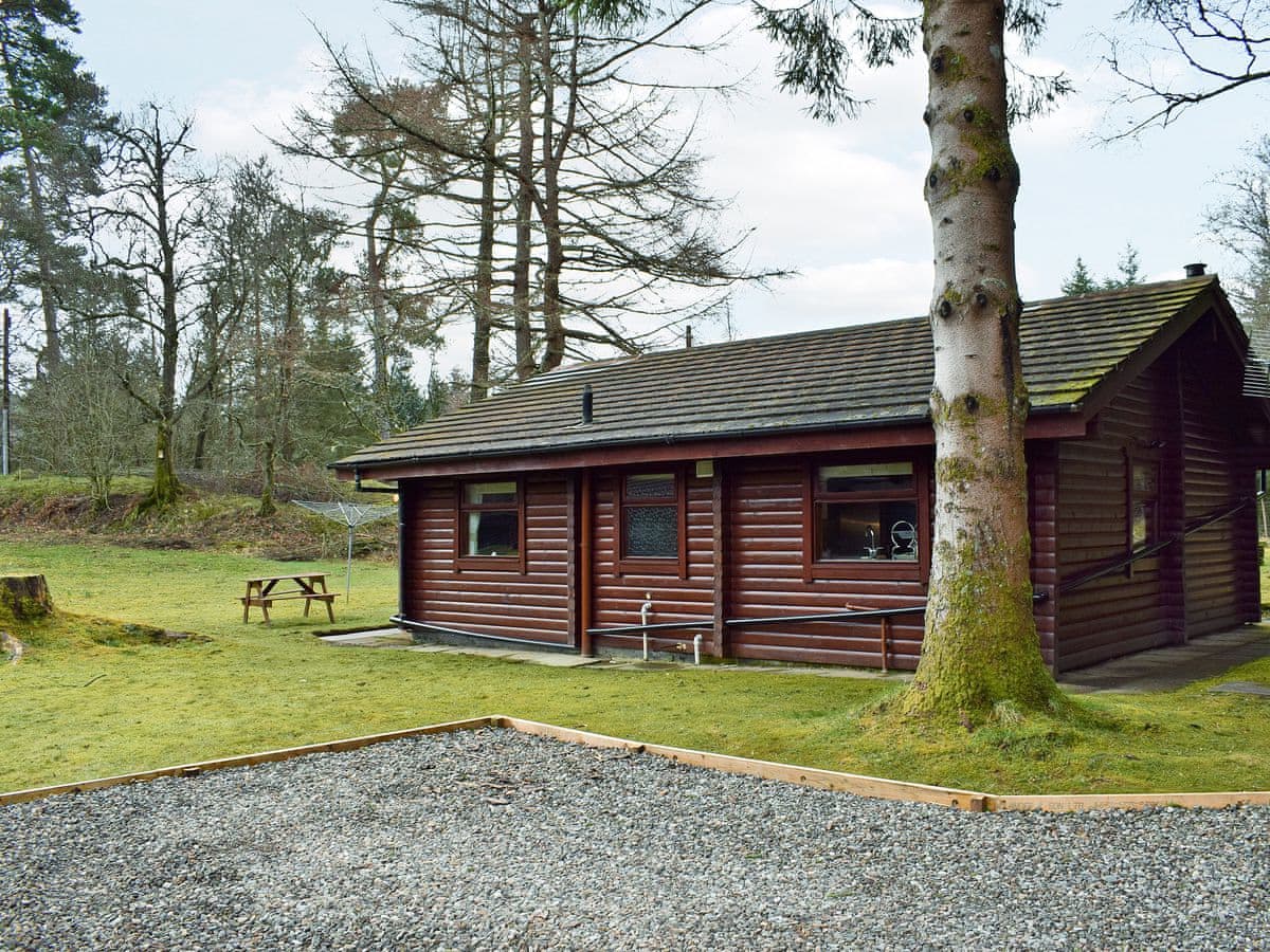 Forest View, listing photograph 10
