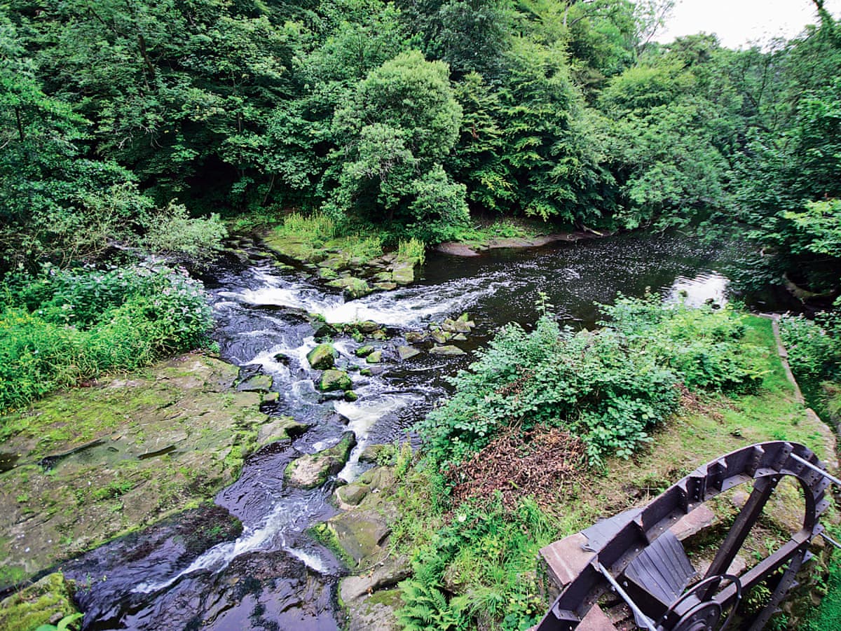 The Wheelhouse, listing photograph 12