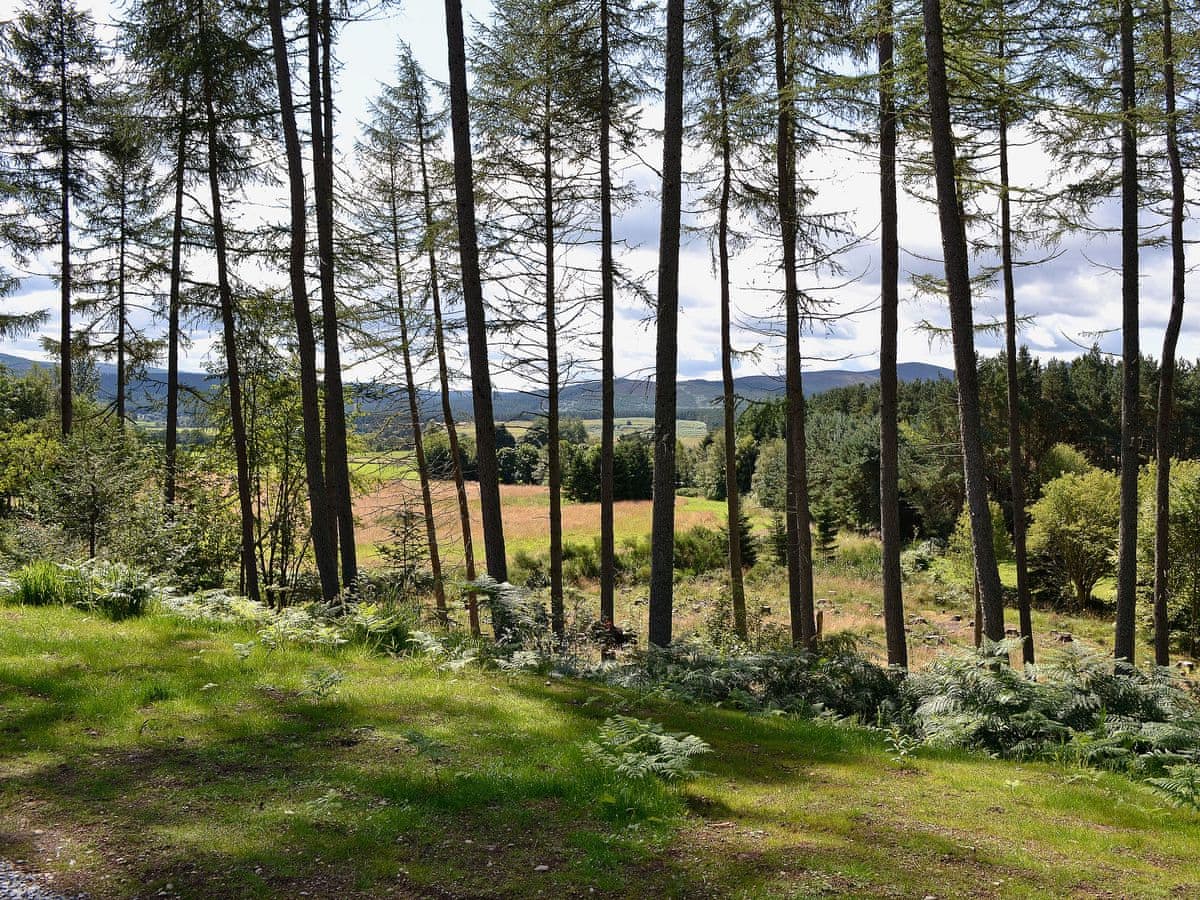 Birchland - Mountshade, listing photograph 11