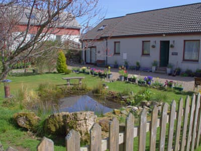 The Holt