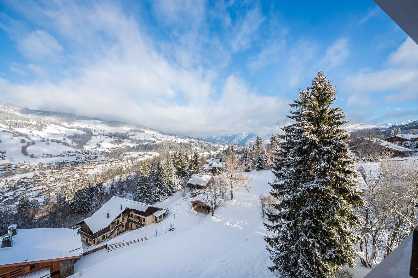 Apartment Snowshoe, listing photograph 4