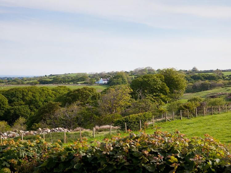 Hendre, listing photograph 2