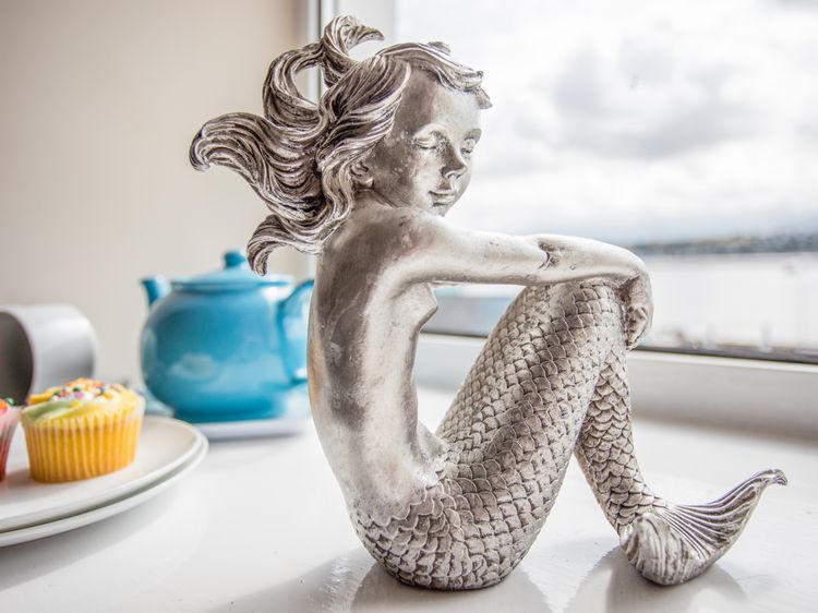 The Mermaid, listing photograph 8