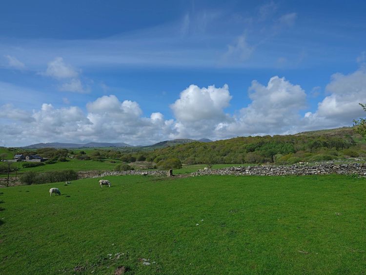 Ty Mawr Porthmadog, listing photograph 9