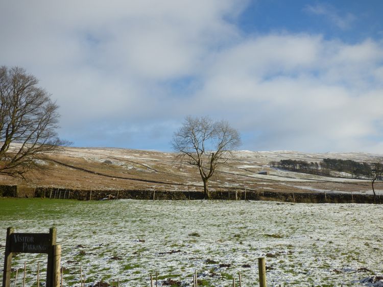 Dale View, listing photograph 11