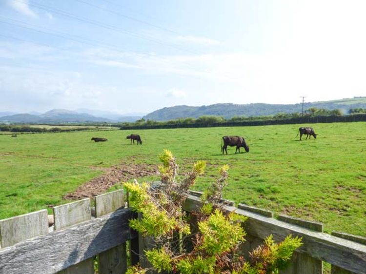 Surprise View, listing photograph 11