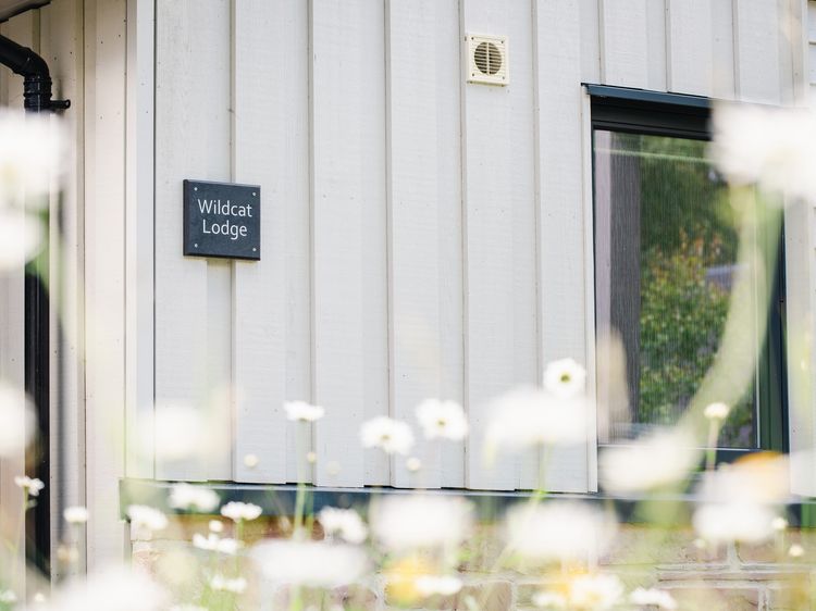Wildcat Lodge, listing photograph 4
