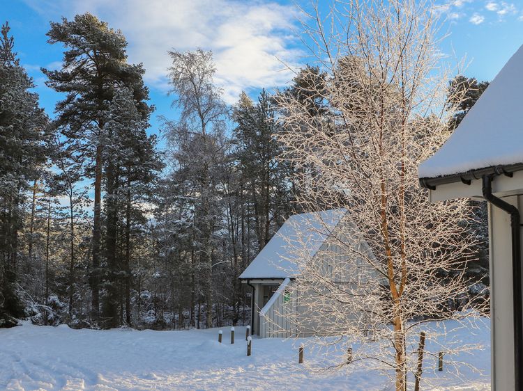 Golden Eagle Lodge, listing photograph 4