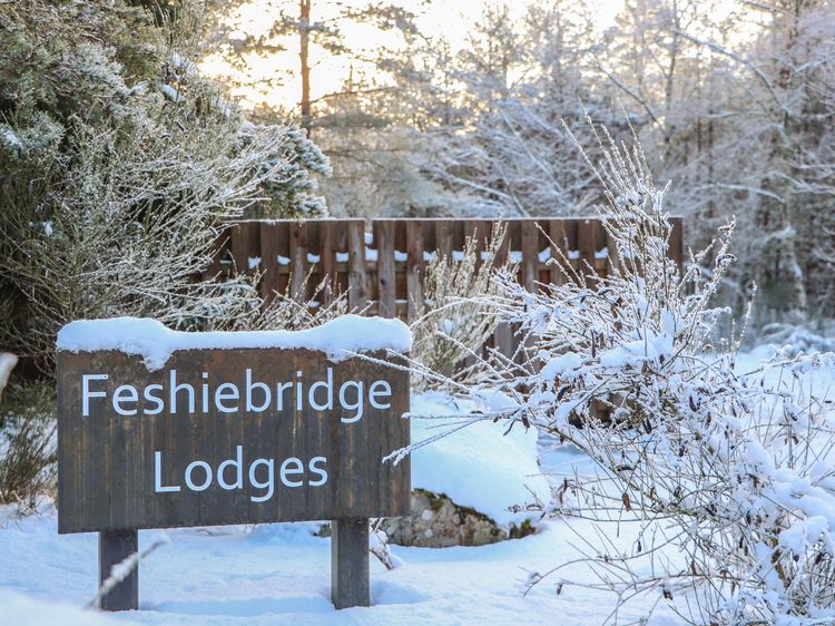 Golden Eagle Lodge, listing photograph 2