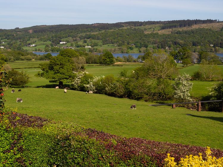 Garden Cottage At Coniston, listing photograph 11