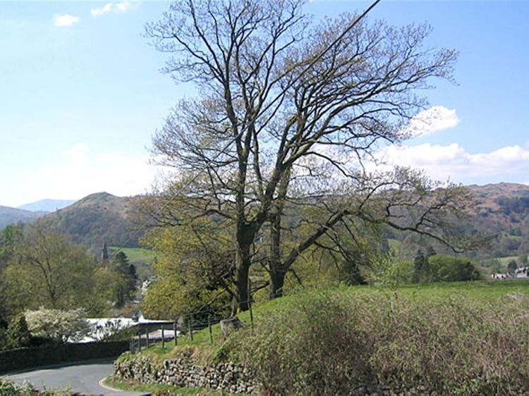 Honeypot Cottage, listing photograph 2