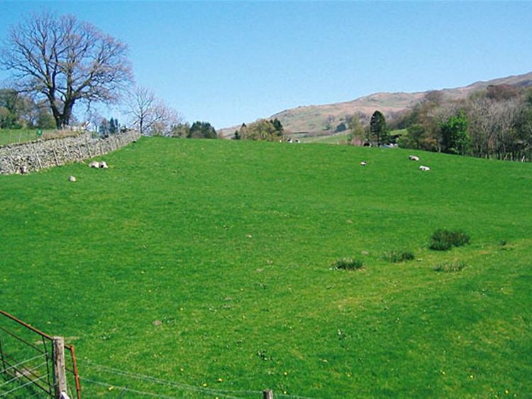 Honeypot Cottage, listing photograph 10