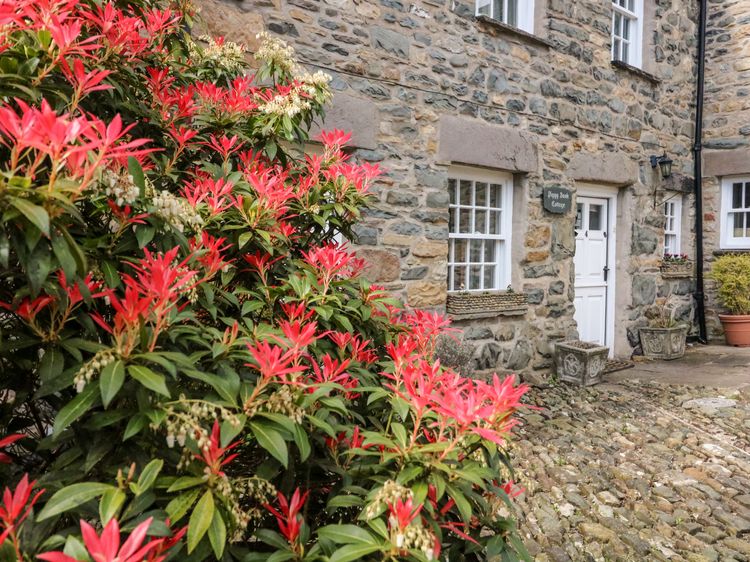 Piggy Bank Cottage, listing photograph 2