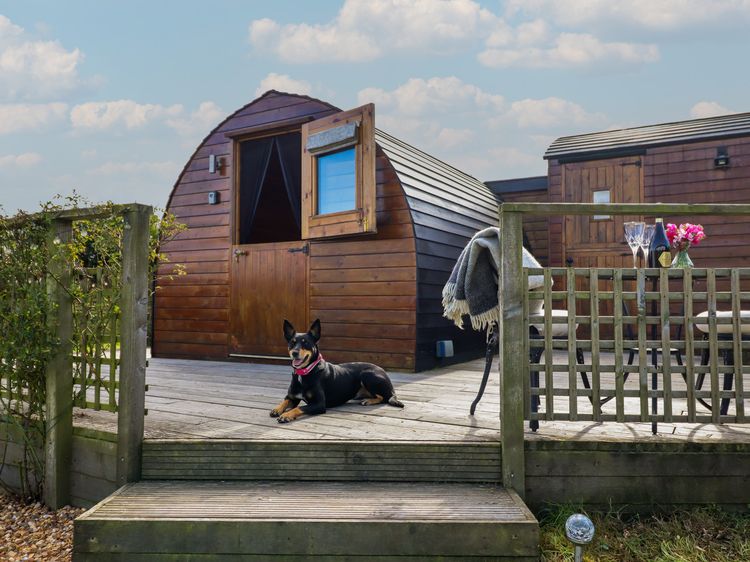 Embden Pod at Banwy Glamping, listing photograph 2