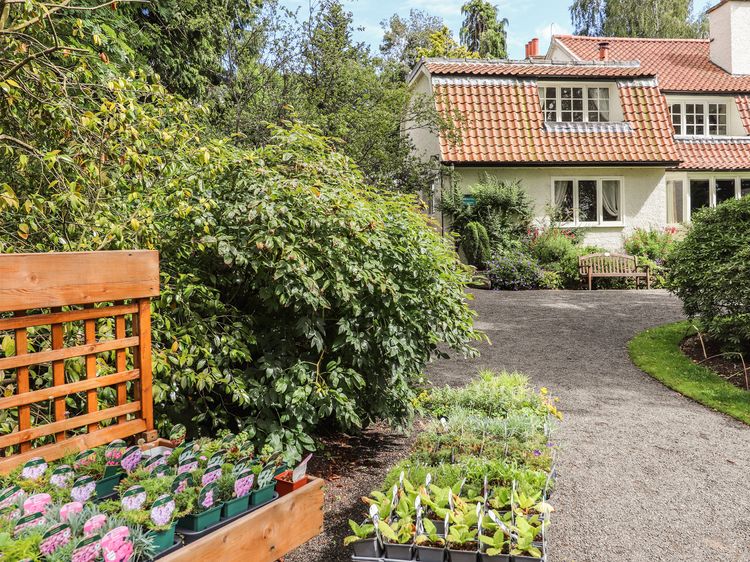 Branklyn Garden Cottage, listing photograph 3