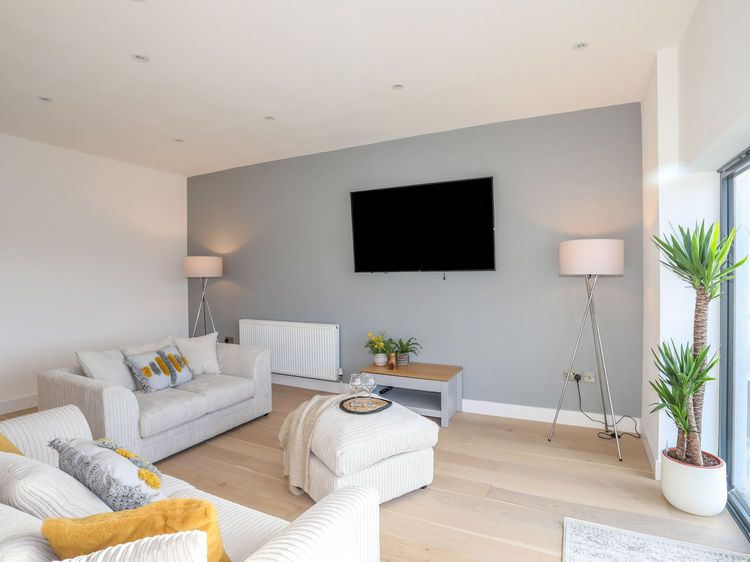 Bryn Min Manton Apartment, listing photograph 4