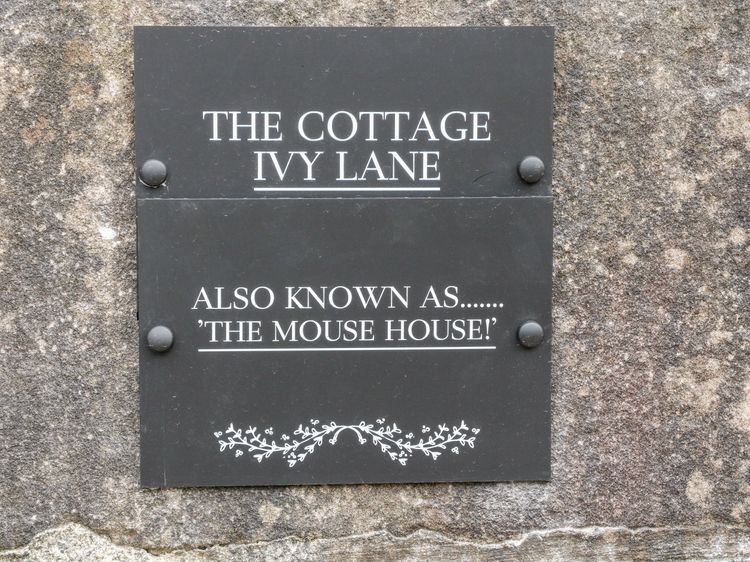 The Mouse House, listing photograph 2
