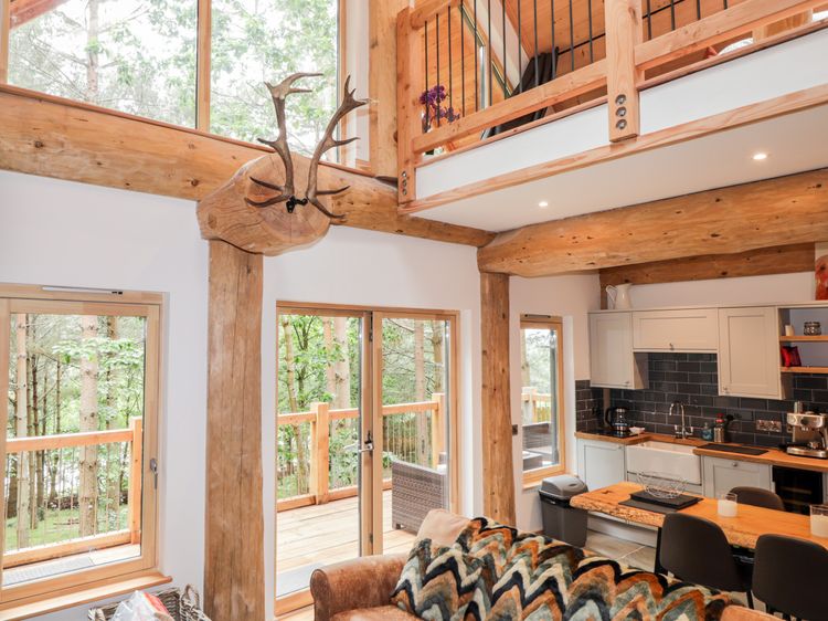 Pine Marten Lodge, listing photograph 11
