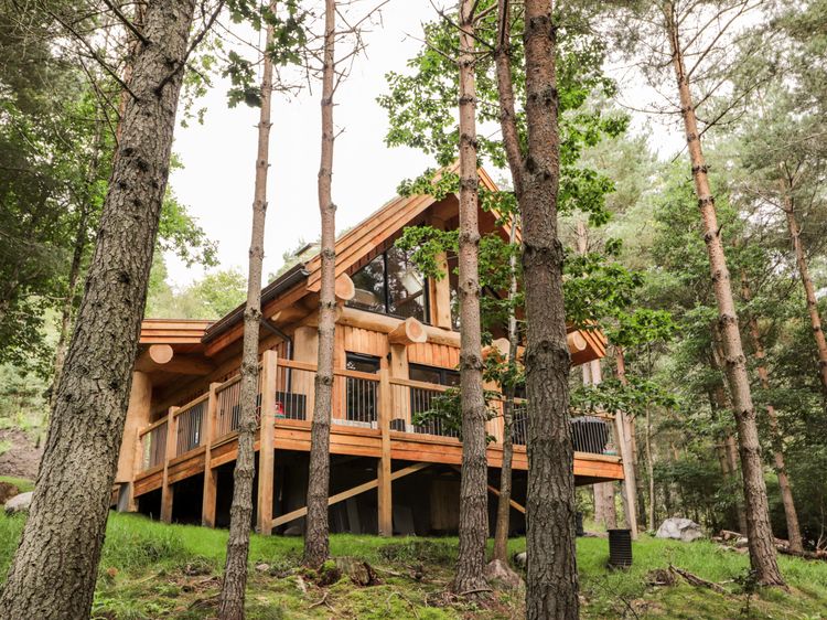 Pine Marten Lodge, listing photograph 3