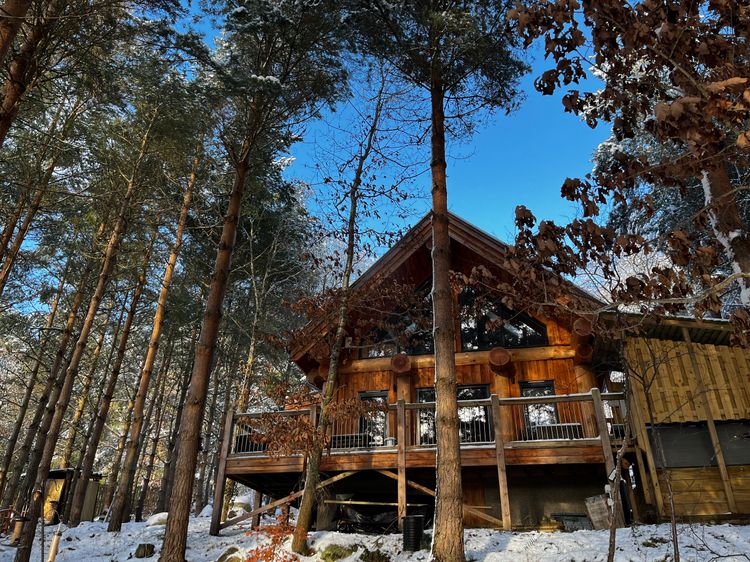 Pine Marten Lodge