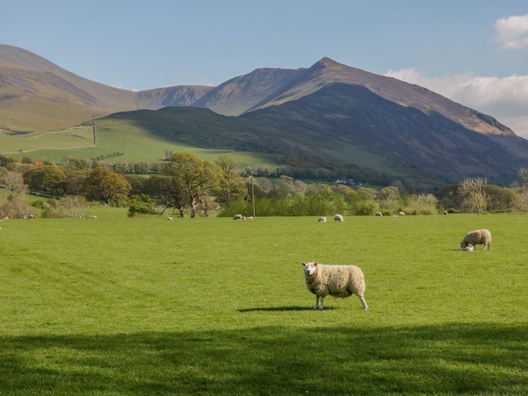 Ashness, listing photograph 2