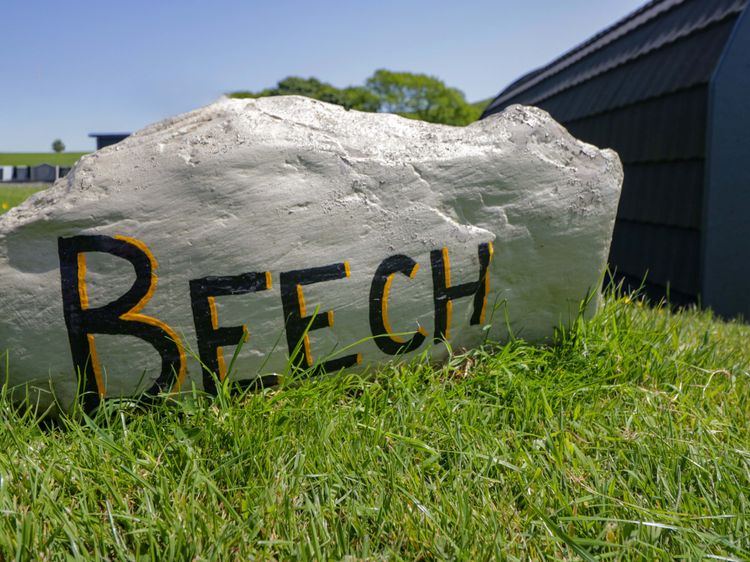Beech, listing photograph 4