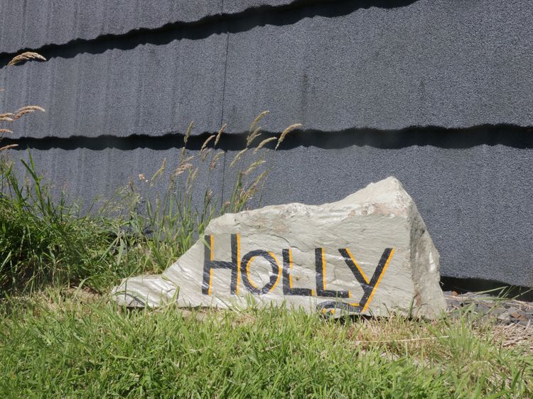 Holly, listing photograph 4