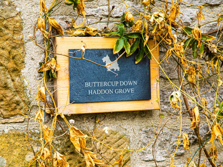 Buttercup Down, listing photograph 5