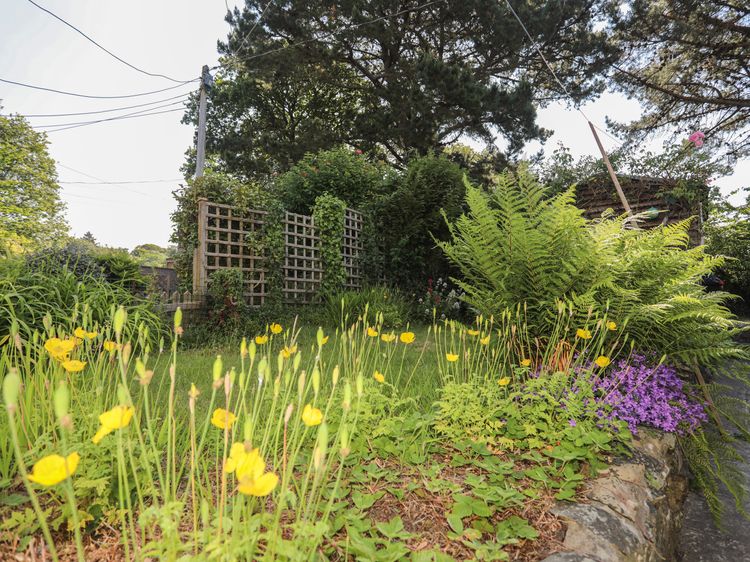 6 Maen Y Wern, listing photograph 3
