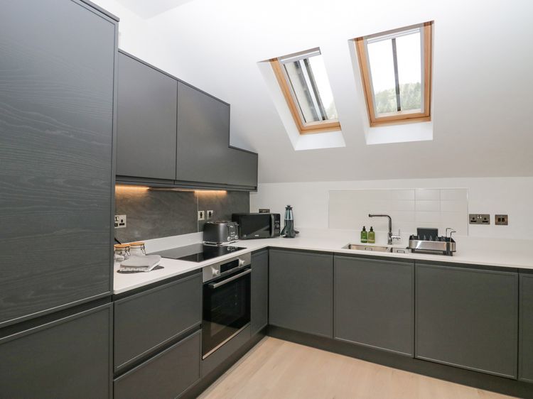 Watch Tree Apartment, listing photograph 11