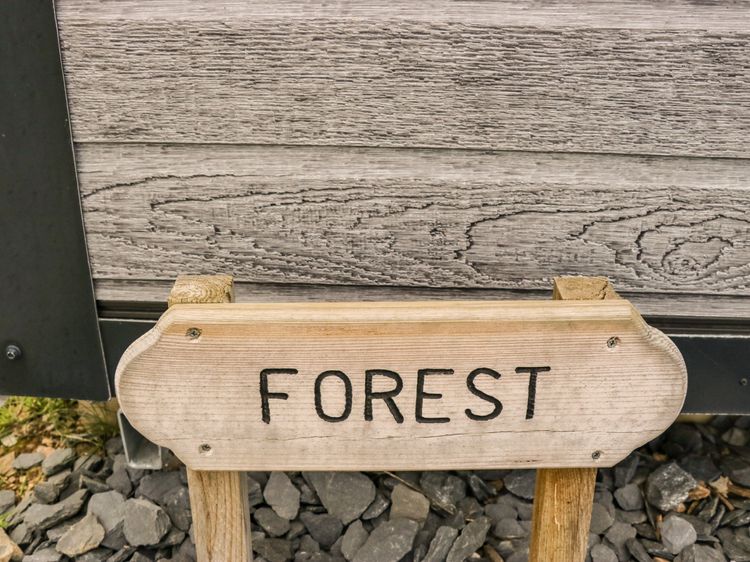 Forest, listing photograph 4