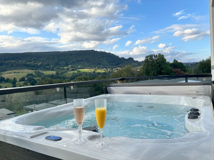 Osprey View Lodge & Hot Tub, listing photograph 3