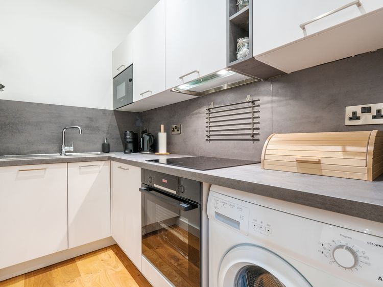 The Botanical Flat 1, listing photograph 3