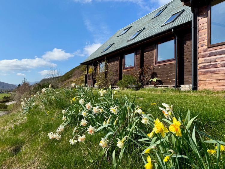 The Lodge