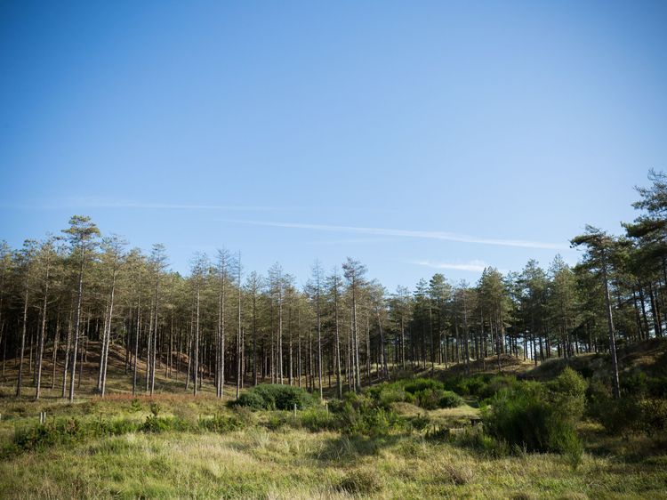 Caeau Gwynion Farm, listing photograph 7