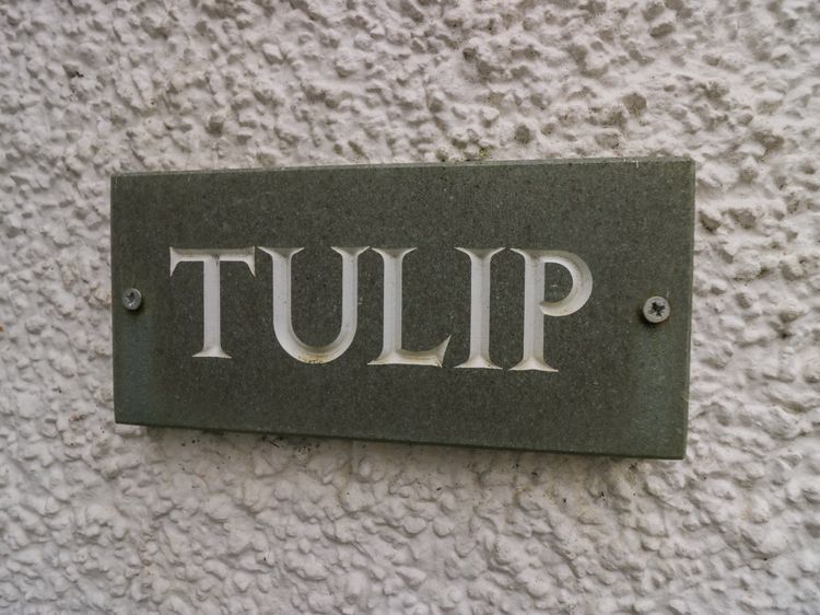 Tulip, listing photograph 2